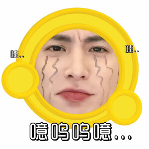 王鹤棣 表情包