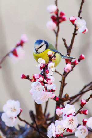 节气