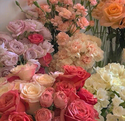 鲜花背景