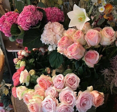 鲜花背景