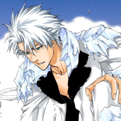 #bleach#
死神
Hitsugaya Toushirou ​​​