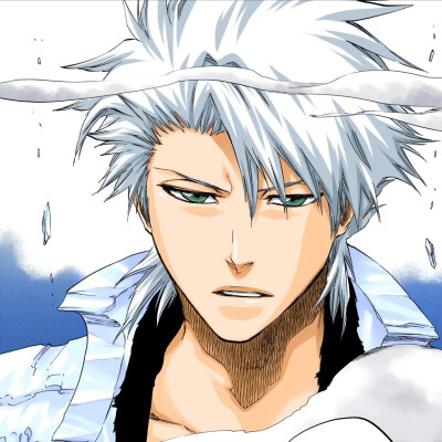 #bleach#
死神
Hitsugaya Toushirou ​​​