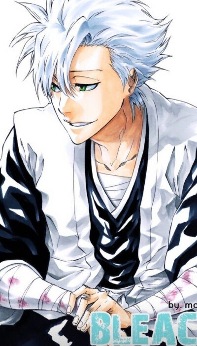 #bleach#
死神
Hitsugaya Toushirou ​​​