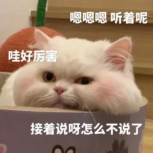 猫猫表情包