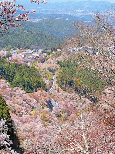 只有日本