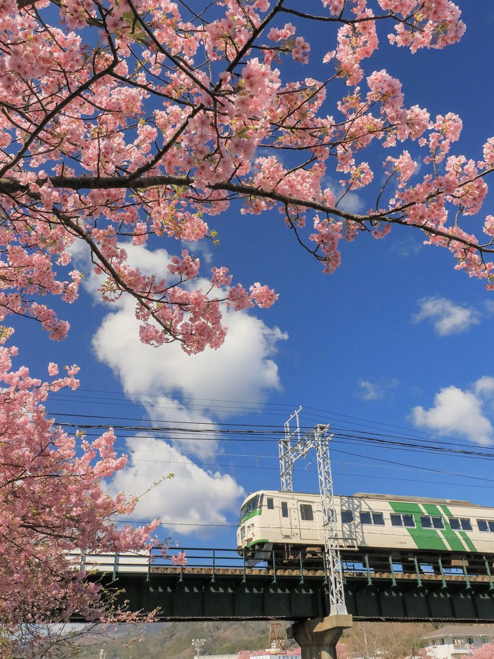 只有日本