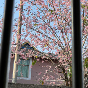 沈小婷可二改图
看简介