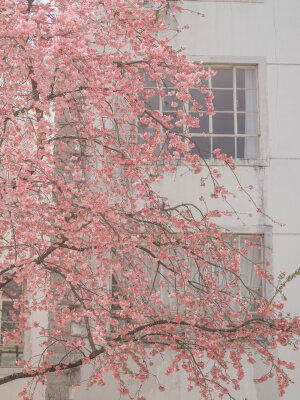 沈小婷可二改图
看简介