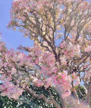 沈小婷可二改图
看简介