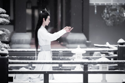 白衣少年蓝忘机