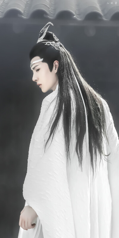 白衣少年蓝忘机