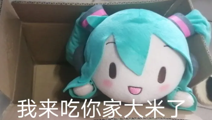 初音fufu