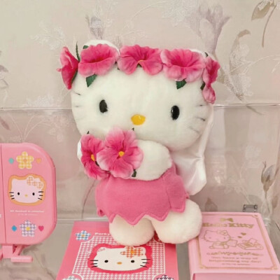 PINK KITTY