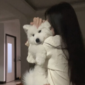 氛围清冷