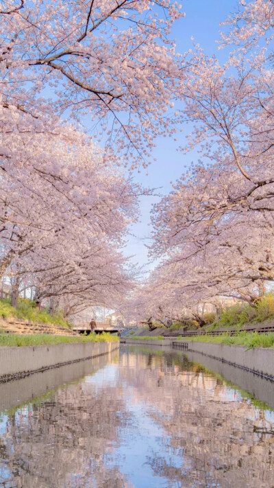 春日浪漫