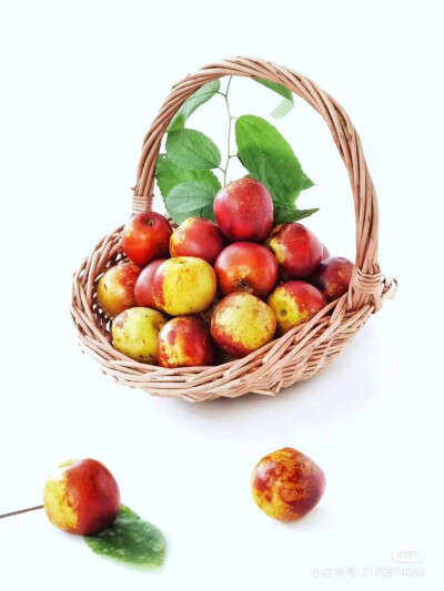 照片