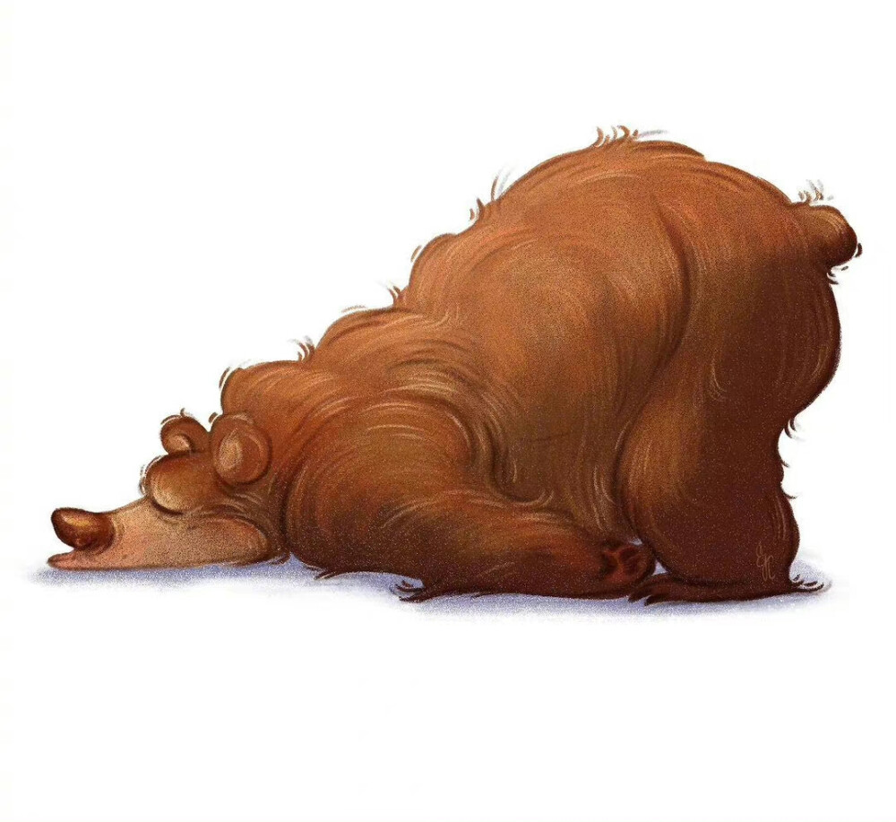 动物插画师 Erica J. Chen ​​​
