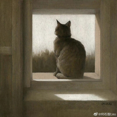 插画猫咪