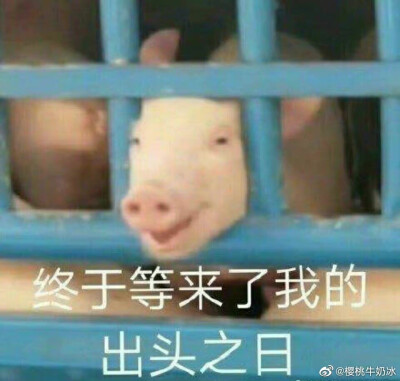 考研一定上岸