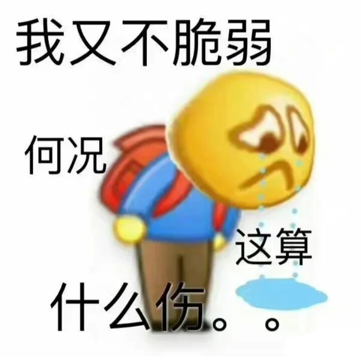 我又不脆弱何这那算什么伤