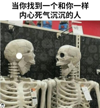 表情包