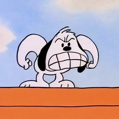 ..........ᴅᴜᴅᴜ！