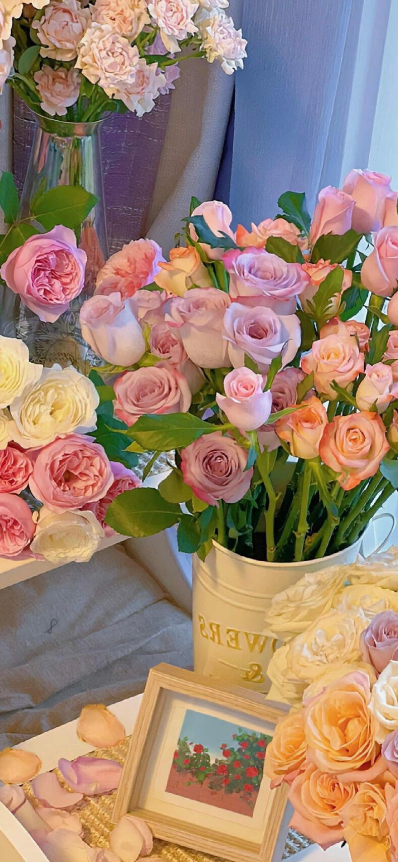 花- 高清图片,堆糖,美图壁纸兴趣社区