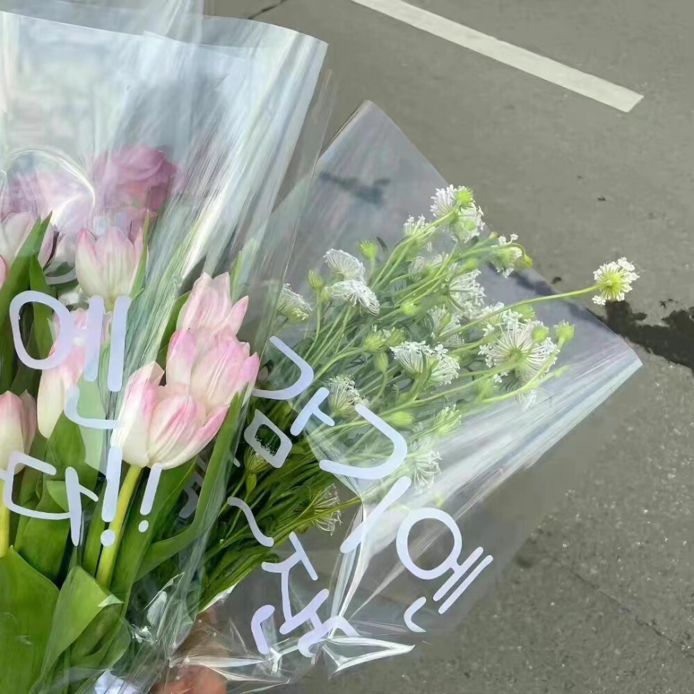 背景图|鲜花背景图风景玫瑰