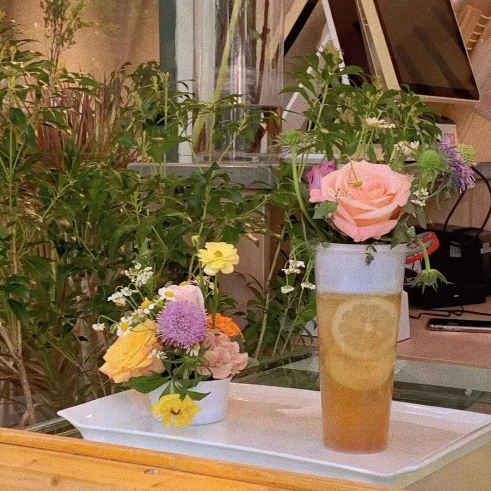 背景图|鲜花背景图风景玫瑰