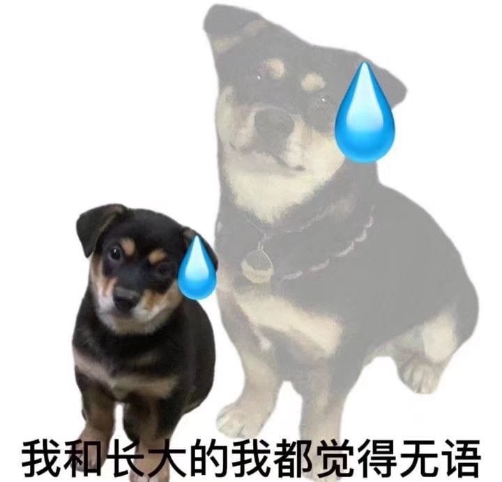 表情包