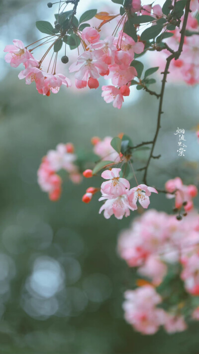图源水印