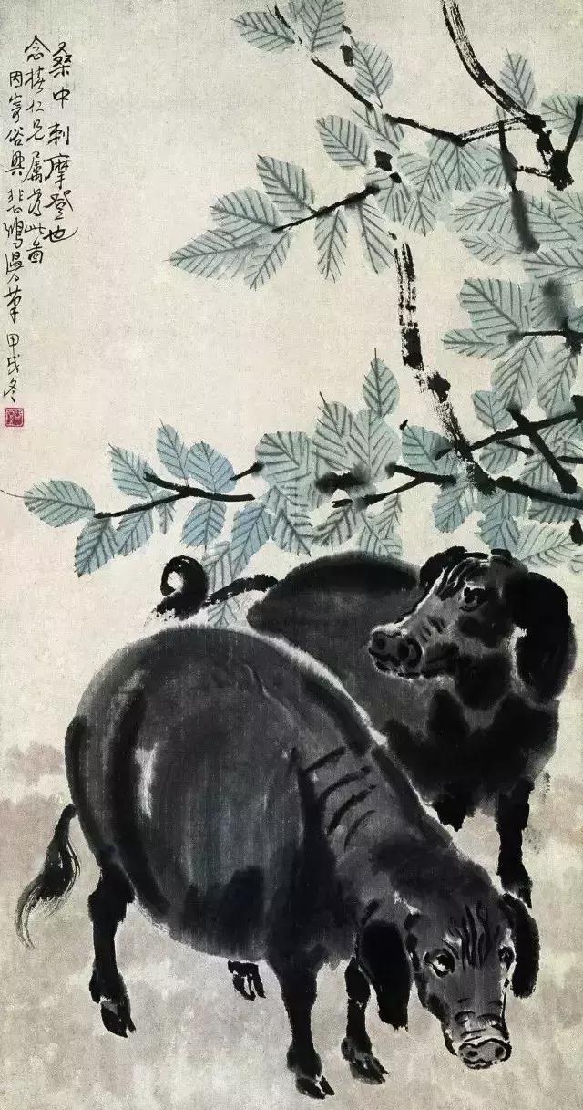 徐悲鸿画猪
