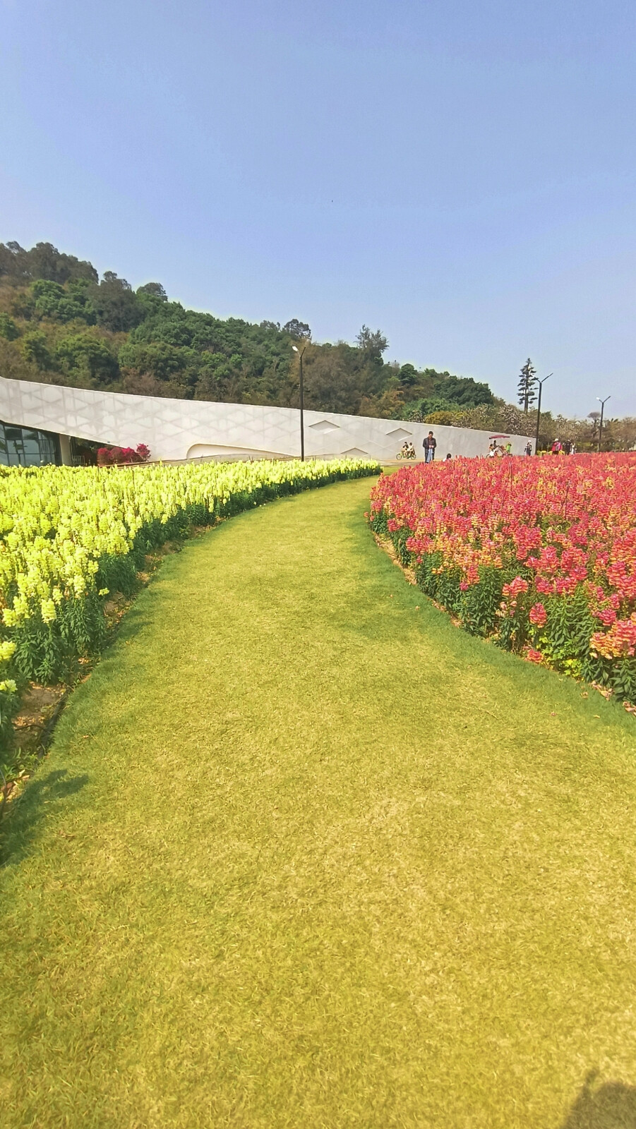 珠海野狸岛