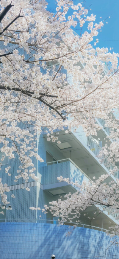 “在心里种花，人生才不会荒芜”
by.@overwater