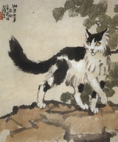 徐悲鸿画的猫咪