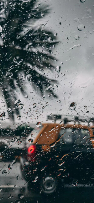 雨天⛱️手机壁纸