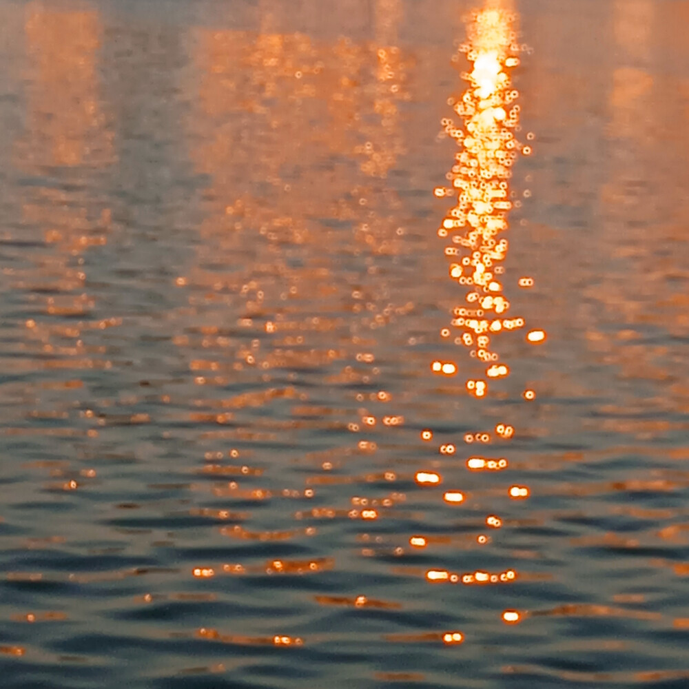 夕阳金光洒满湖面