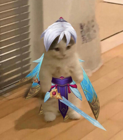 英雄联盟表情包