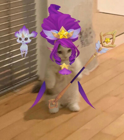 英雄联盟表情包