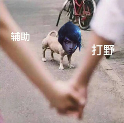 英雄联盟表情包