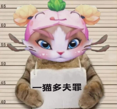 英雄联盟表情包