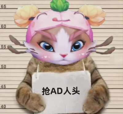 英雄联盟表情包