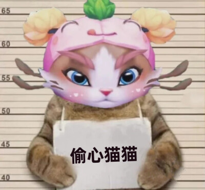 英雄联盟表情包