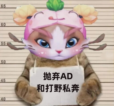 英雄联盟表情包