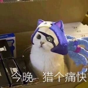 英雄联盟表情包