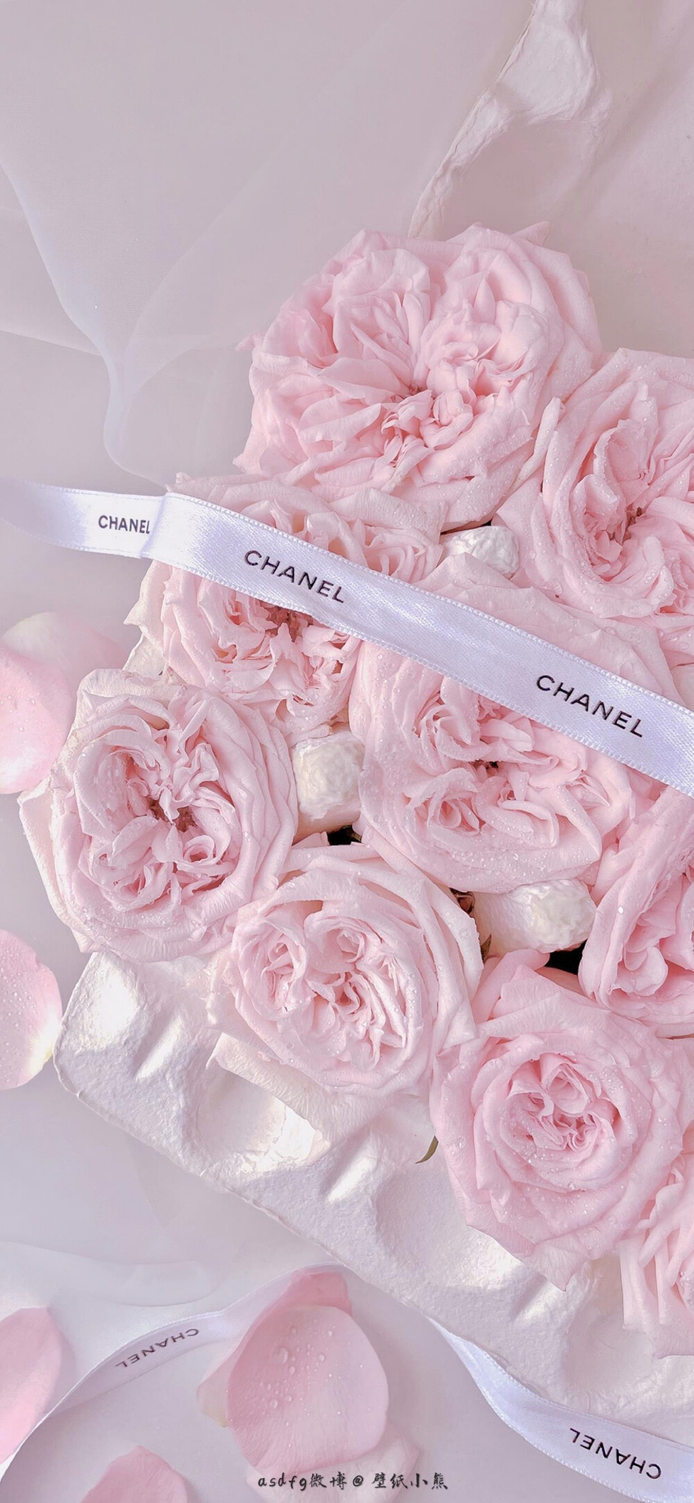 粉色系壁纸【壁纸】