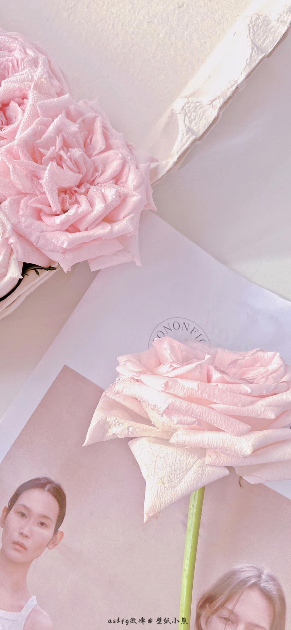 粉色系壁纸【壁纸】