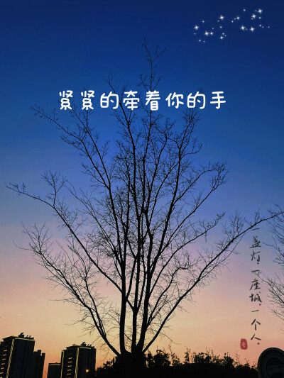 带你一起去看夕阳