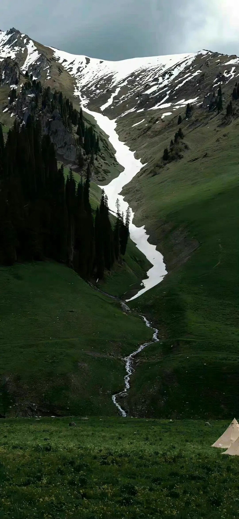 风景壁纸