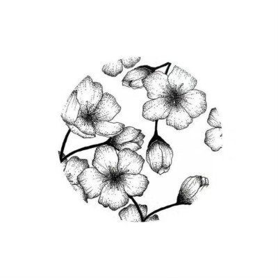 植物绘，插画师：Black and White